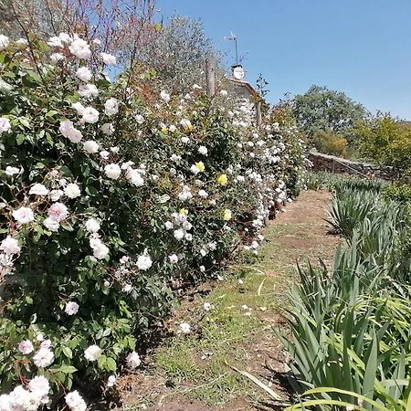 Lirios Da Granja - Casa De Campo Eksteriør billede