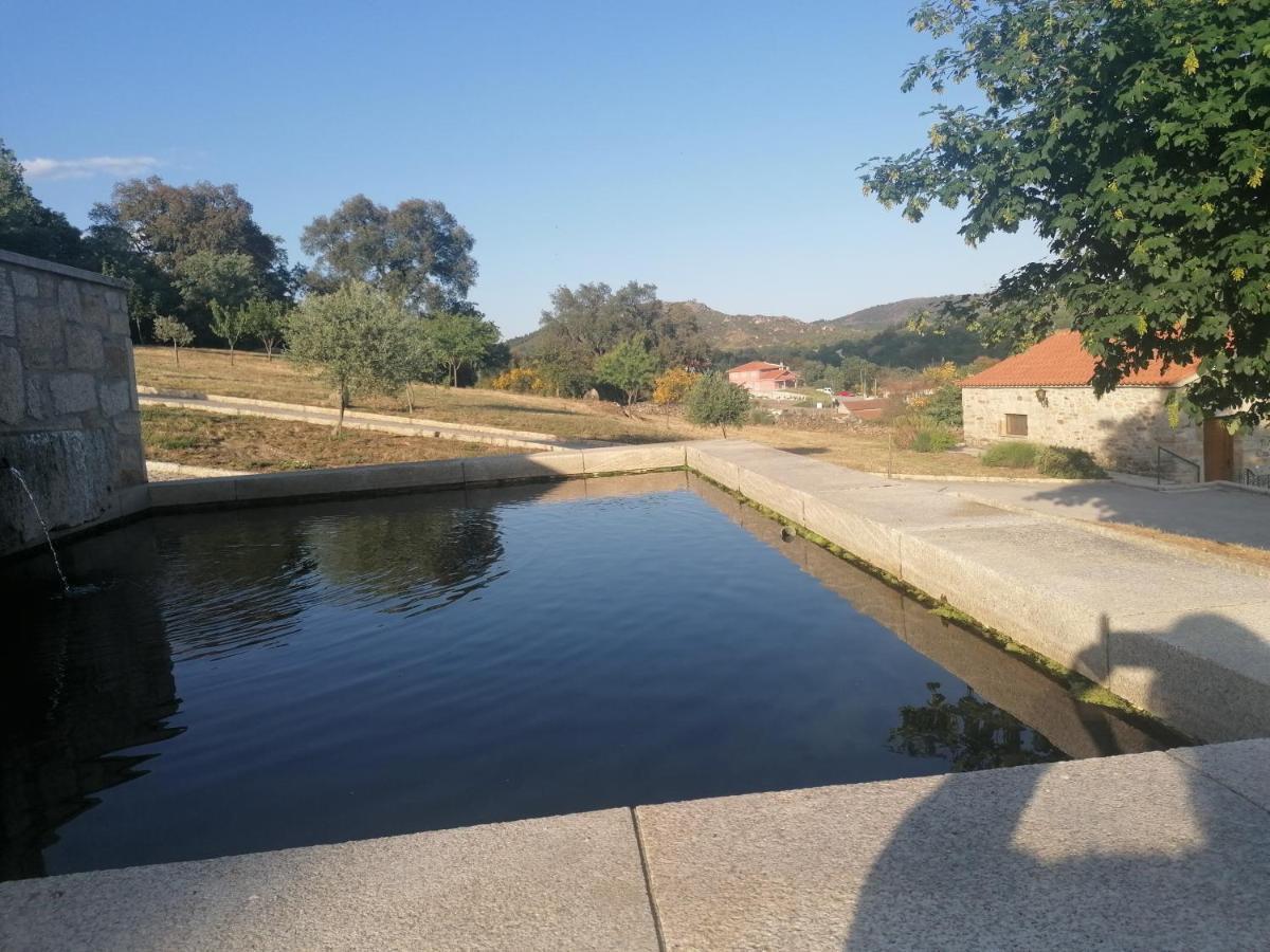 Lirios Da Granja - Casa De Campo Eksteriør billede