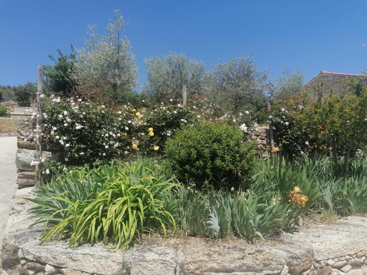 Lirios Da Granja - Casa De Campo Eksteriør billede